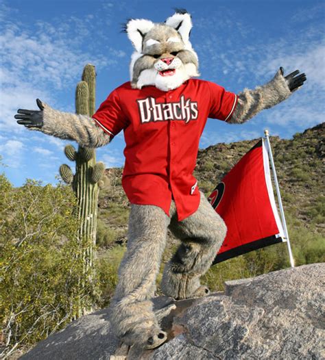 Unleashing the Beast: The Importance of the Bobcat Mascot Getup in Sports Motivation